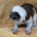 hdm-24-img_6699